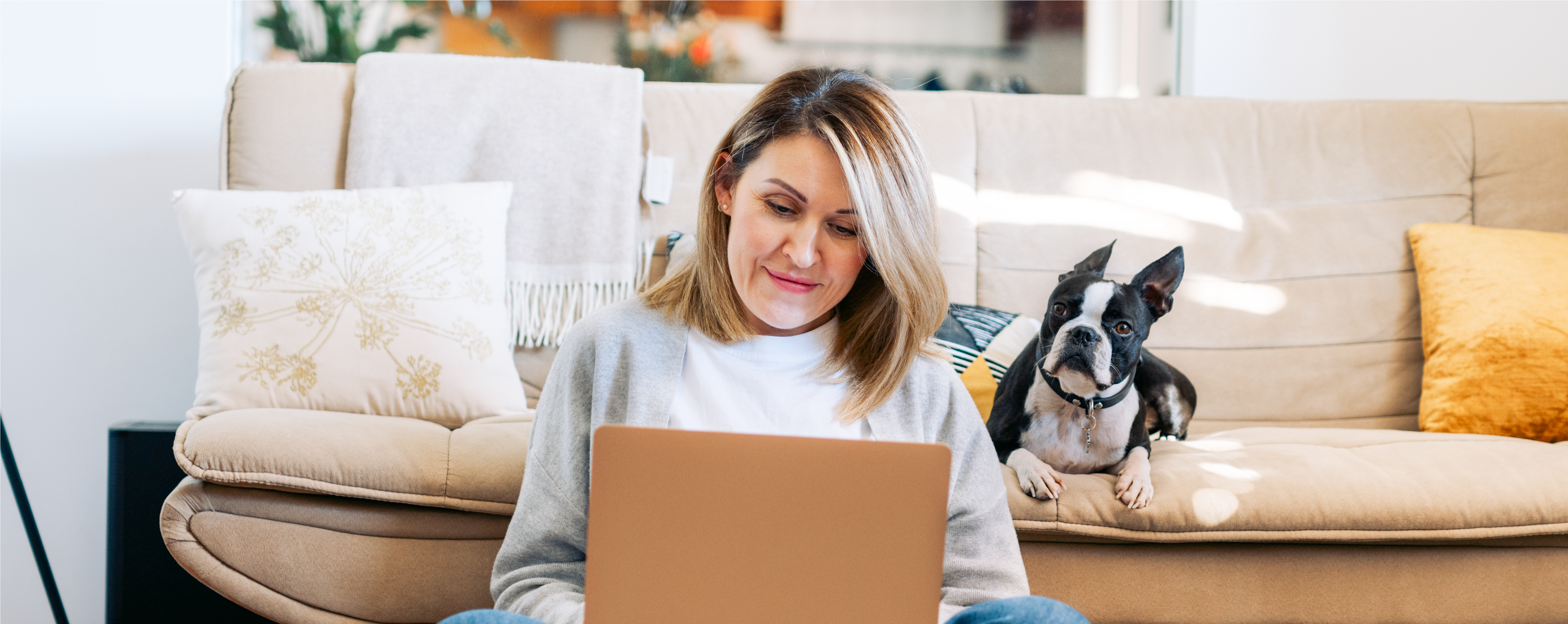 Woman working with a laptop or shopping online at home with her Boston terrier dog. 